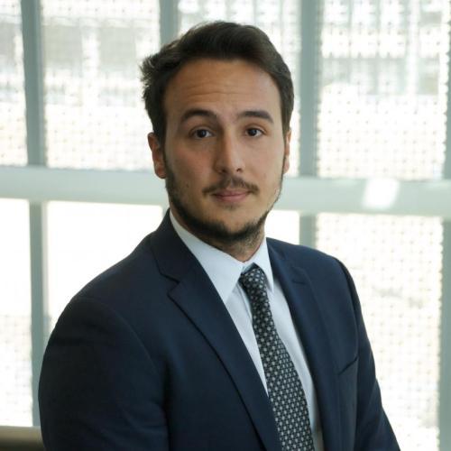 Luca G. Amaru