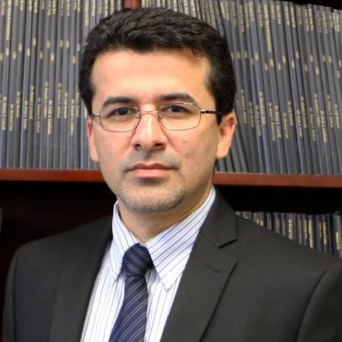 Mark M. Tehranipoor