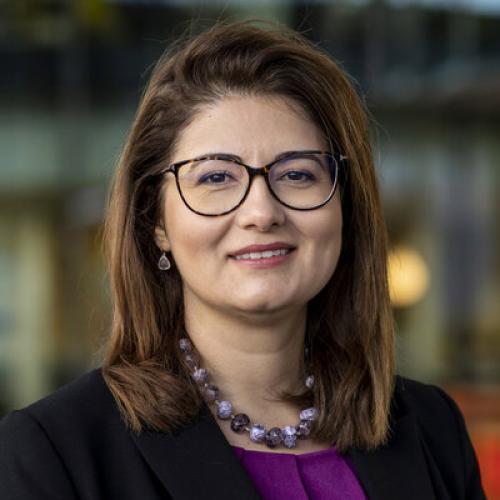 Aida Todri-Sanial