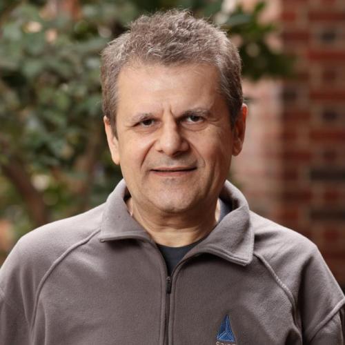 Mircea Stan
