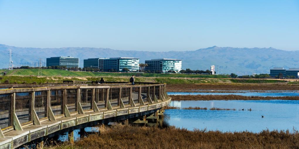 Sunnyvale CA image