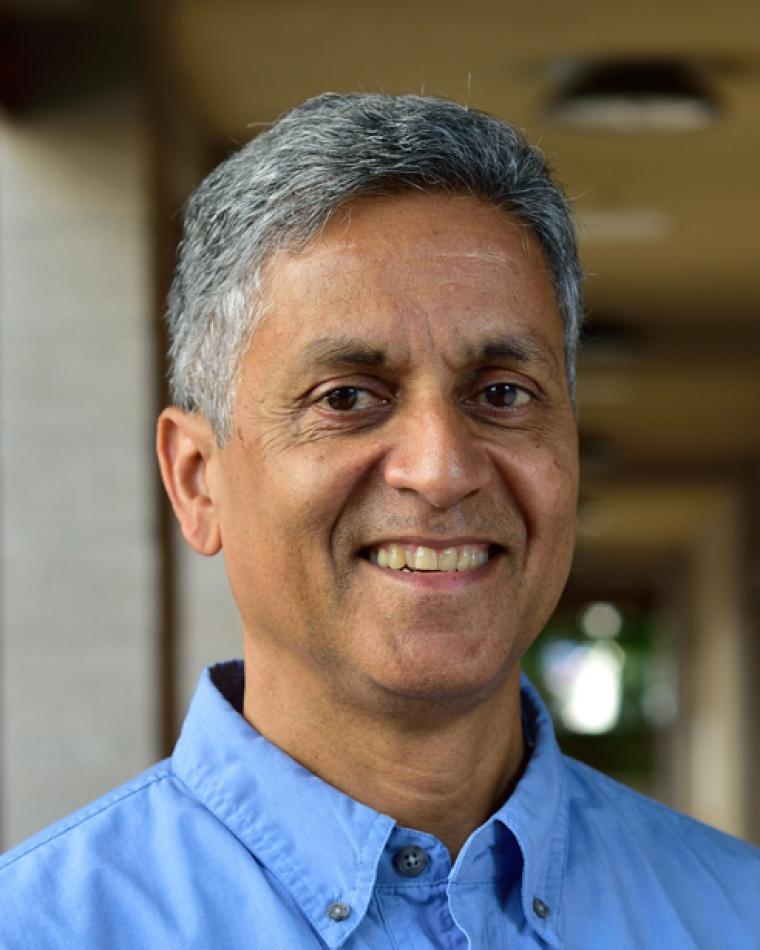 Nikil Dutt