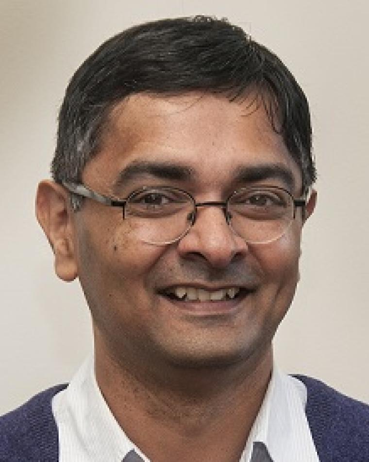 Sachin Sapatnekar