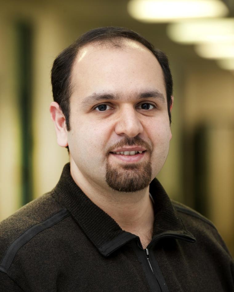 Mehdi Tahoori