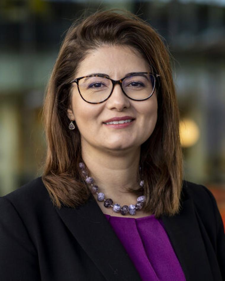 Aida Todri-Sanial
